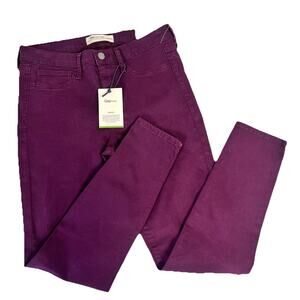GAP 1969 Jeans Indigo Pants size 29R Plum High Stretch Easy Leggings Skinny Leg
